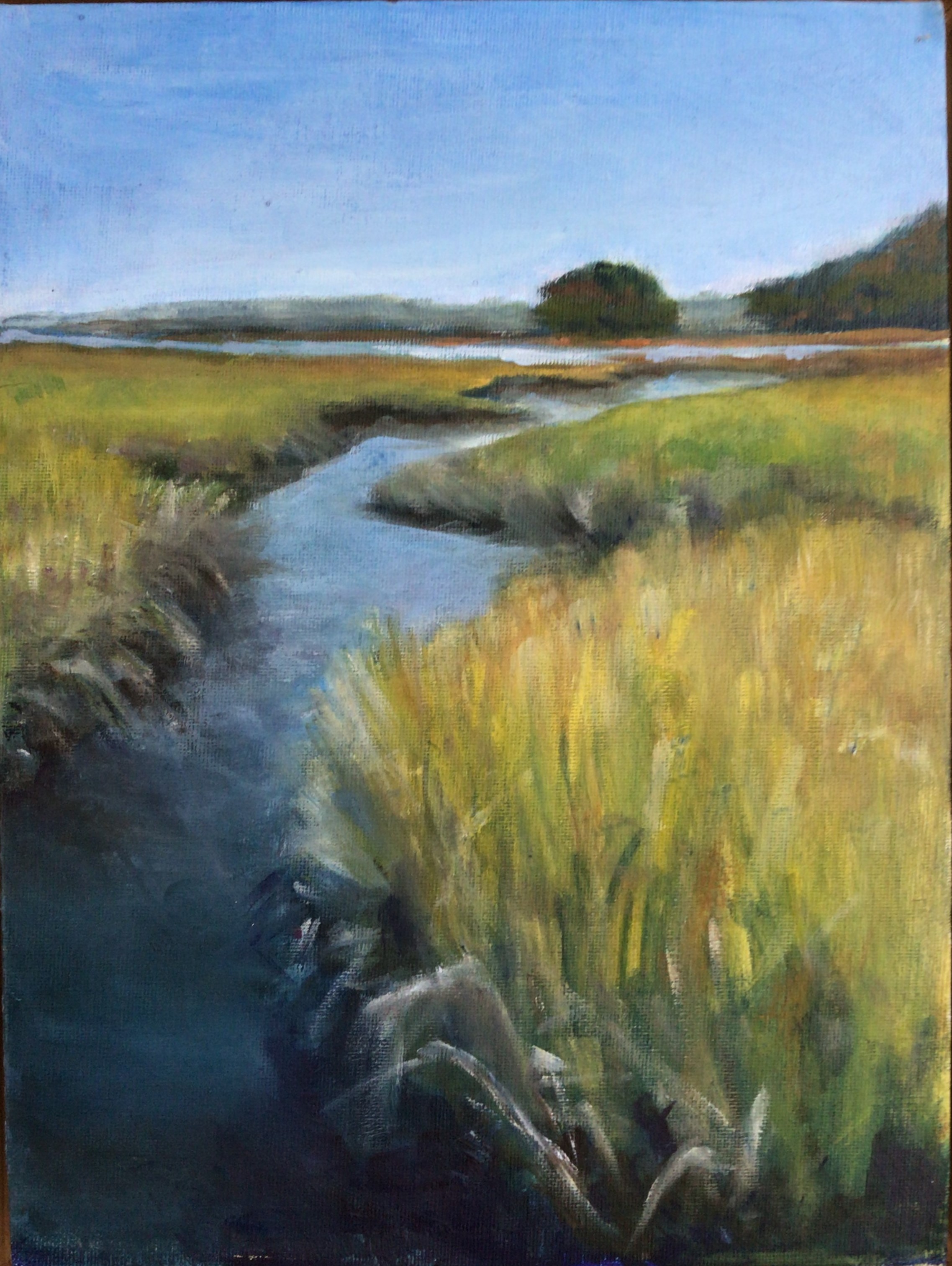Oil Portrait of a Marsh