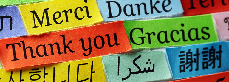 Image of "Thank you" signs in various langauges